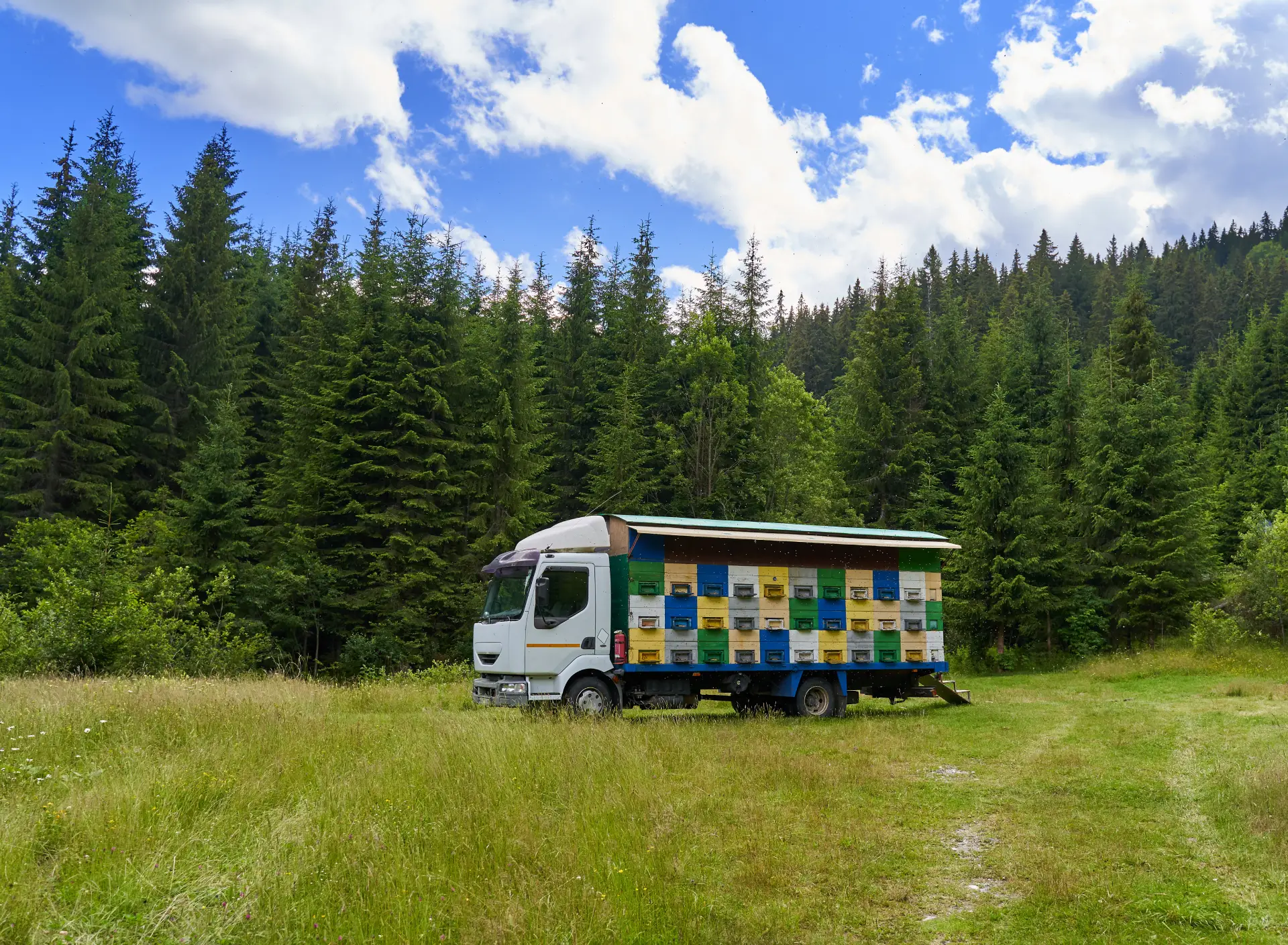 a-lorry-with-bee-hives-in-the-mountains-2025-10-13-01-33-27-utc