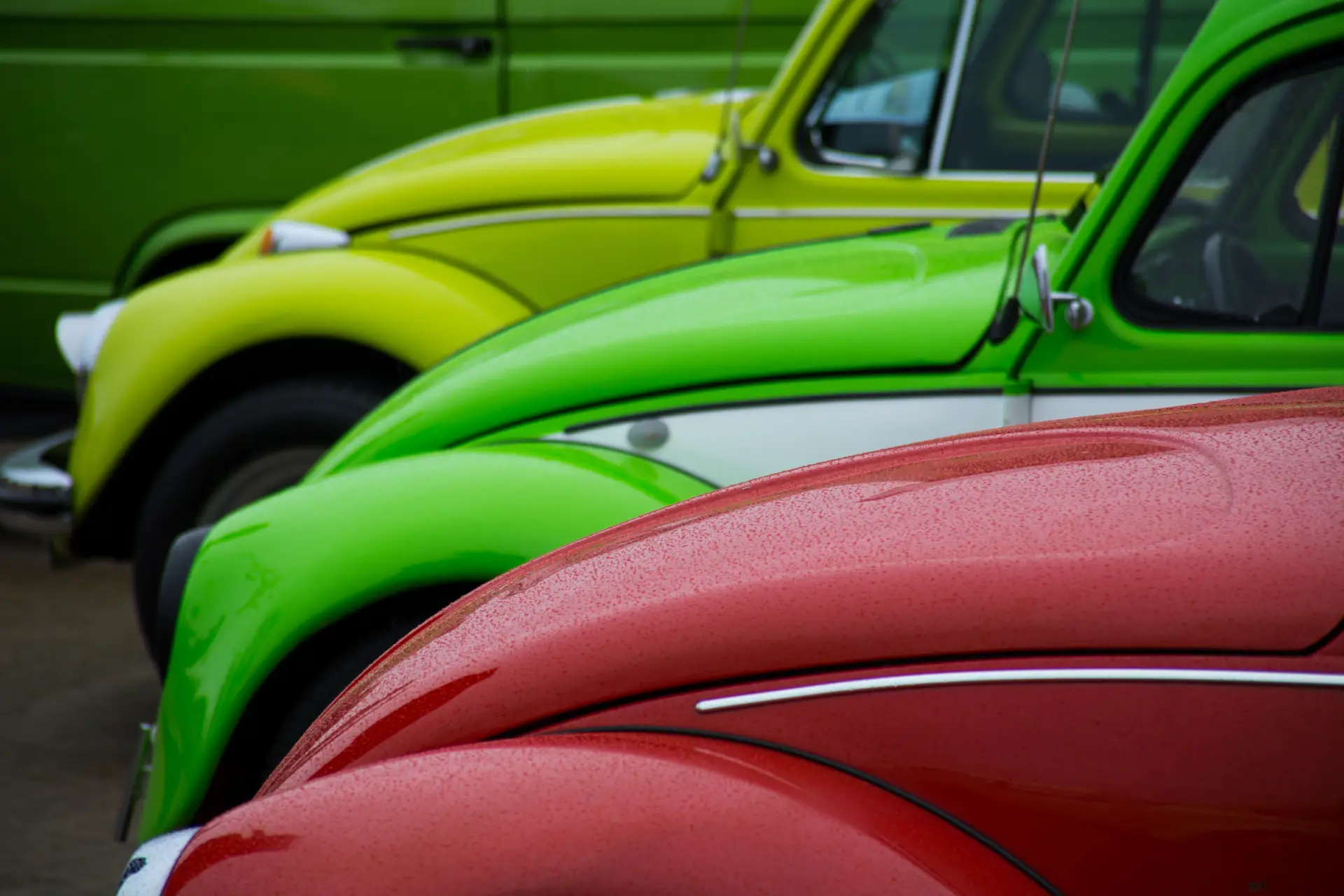 primary-colours-2024-11-25-23-48-01-utc