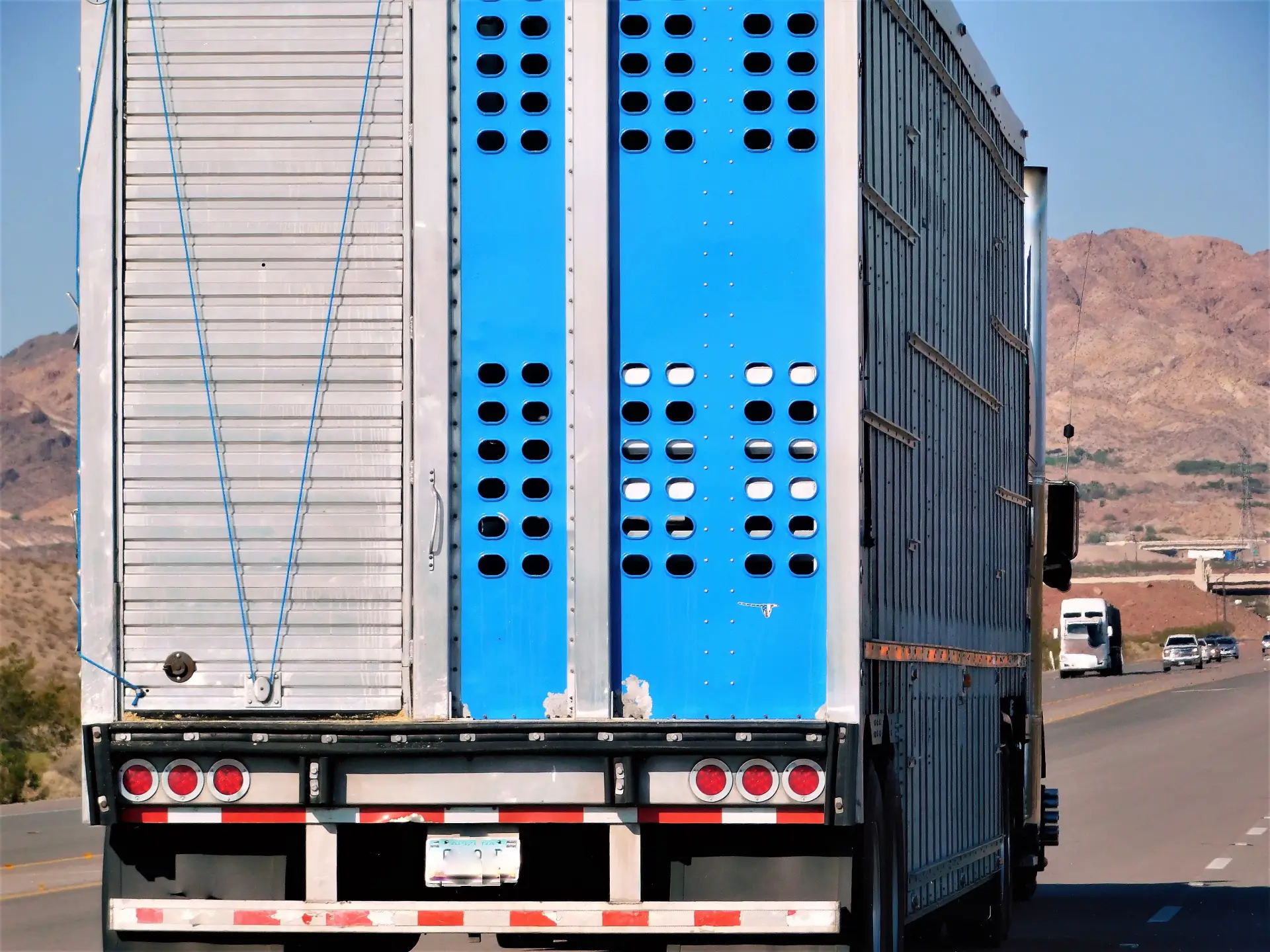 transportation-and-logistics-a-cattle-truck-hauli-2025-02-22-16-55-50-utc